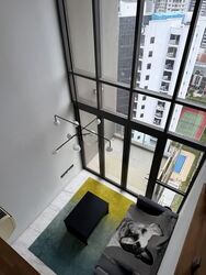 The Viridian (D12), Apartment #592549671